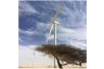 Projekt-Update: „We Electrify Africa" - Windparks für Nord- und Westafrika 